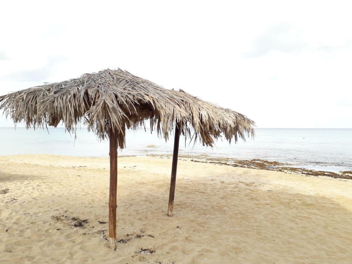 Protaras Happy Sunny Holidays พาราลิมนี ภายนอก รูปภาพ